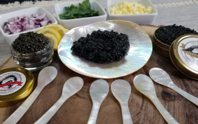 Mother of Pearl Spoons (Set of 6)
