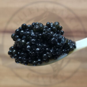 Hackleback Caviar from Kelley's Katch Caviar