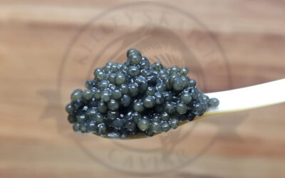 Paddlefish Caviar