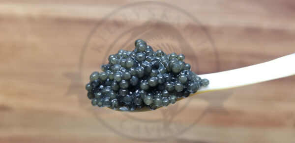 Paddlefish Caviar from Kelley's Katch Caviar