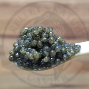 White Sturgeon Caviar from Kelley's Katch